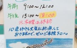 ＧＷ診療のお知らせ+兼山の休日～つけめん編～